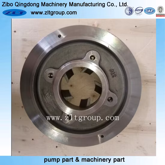 Stainless Steel/Carbon Steel 3196 Pump Stuffing Box Big Bore Cover Replacements